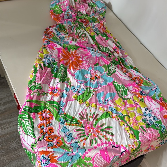 Lilly Pulitzer for Target Nosey Posey Maxi Dress sz 1X - Picture 5 of 10